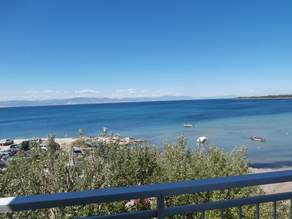 Hotel Prinos Oda fotoğraf